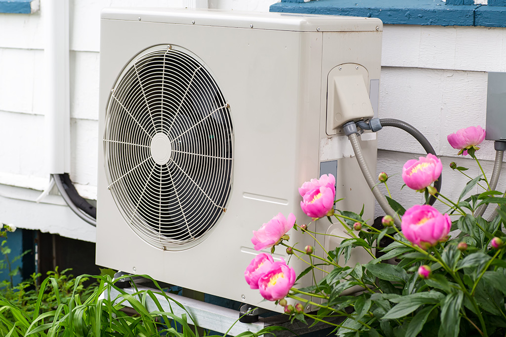 Heat pump and flowers